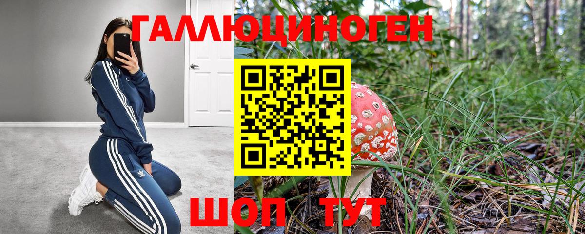 Елизово  Галлюциногенные грибы Psilocybine cubensis  Вход с VPN  Псилоцибиновые грибы ЛСД 